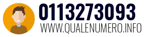 Numero di telefono 0113273093 0113273093