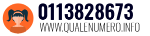 Numero di telefono 0113828673 0113828673