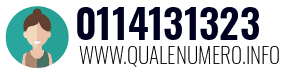 Numero di telefono 0114131323 0114131323