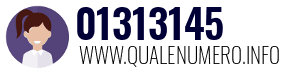Numero di telefono 01313145 01313145