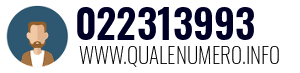Numero di telefono 022313993 022313993
