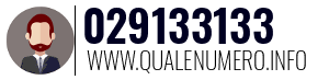 Numero di telefono 029133133 029133133