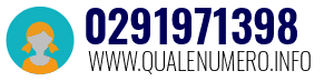 Numero di telefono 0291971398 0291971398