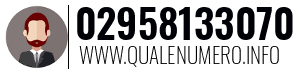 Numero di telefono 02958133070 02958133070