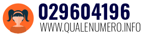 Numero di telefono 029604196 029604196