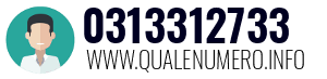 Numero di telefono 0313312733 0313312733