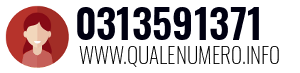Numero di telefono 0313591371 0313591371