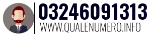Numero di telefono 03246091313 03246091313