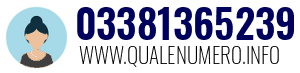 03381365239