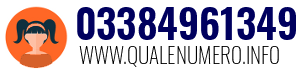 03384961349