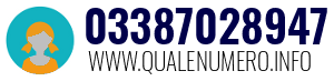 Numero di telefono 03387028947 03387028947