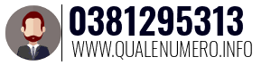 Numero di telefono 0381295313 0381295313