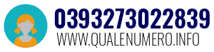 Numero di telefono 0393273022839 0393273022839