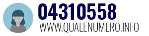 04310558