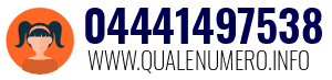 04441497538
