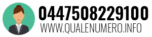 0447508229100