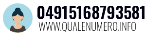 04915168793581