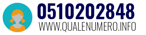 Numero di telefono 0510202848 0510202848