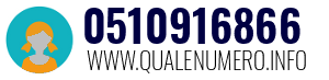 0510916866