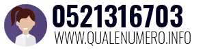 Numero di telefono 0521316703 0521316703