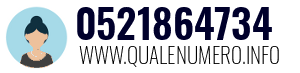 Numero di telefono 0521864734 0521864734