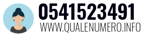 0541523491