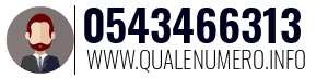 Numero di telefono 0543466313 0543466313