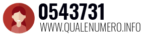 Numero di telefono 0543731 0543731