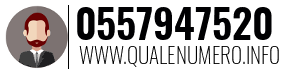 Numero di telefono 0557947520 0557947520