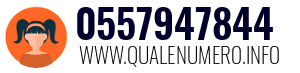 Numero di telefono 0557947844 0557947844