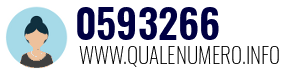 Numero di telefono 0593266 0593266