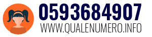 Numero di telefono 0593684907 0593684907