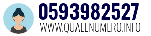 Numero di telefono 0593982527 0593982527