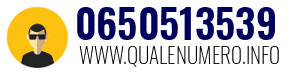 0650513539
