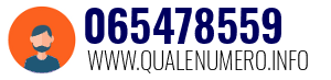 065478559