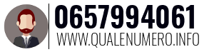 0657994061