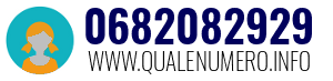 0682082929