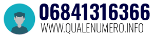 06841316366