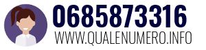 0685873316