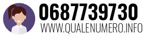 Numero di telefono 0687739730 0687739730