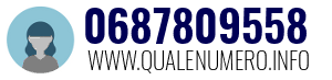 0687809558