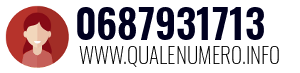 0687931713