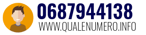 0687944138