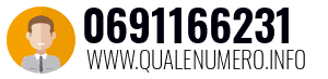 0691166231
