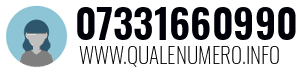 07331660990
