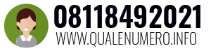 Numero di telefono 08118492021 08118492021