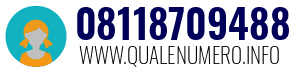 Numero di telefono 08118709488 08118709488