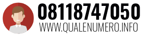Numero di telefono 08118747050 08118747050