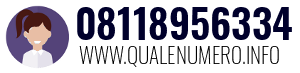 Numero di telefono 08118956334 08118956334