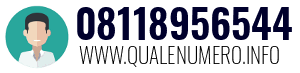 08118956544